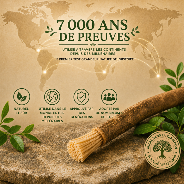 🌍 7 000 ans de preuves