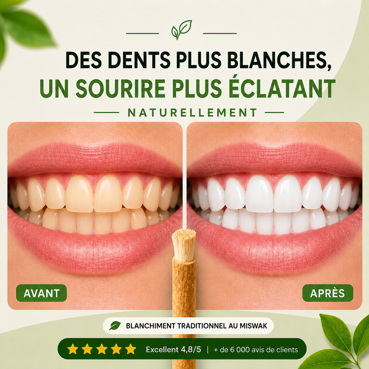 Miswak Merela — Brosse à dents naturelle