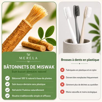Miswak Merela — Brosse à dents naturelle